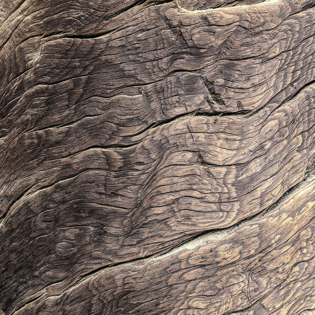 woodtexturecarlex01